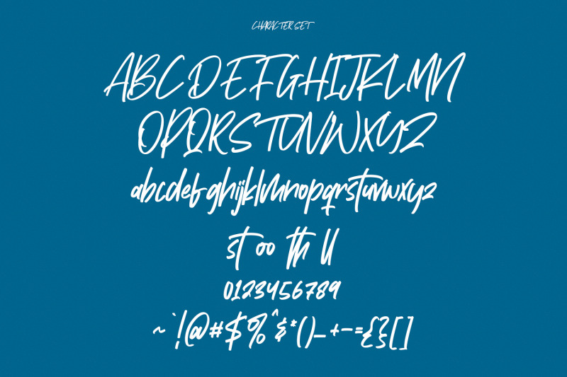 hostrack-handwritten-font