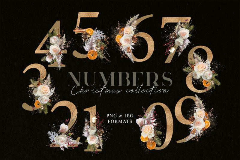 floral-individual-numbers-christmas-text-elements-png