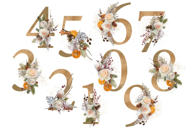 floral-individual-numbers-christmas-text-elements-png