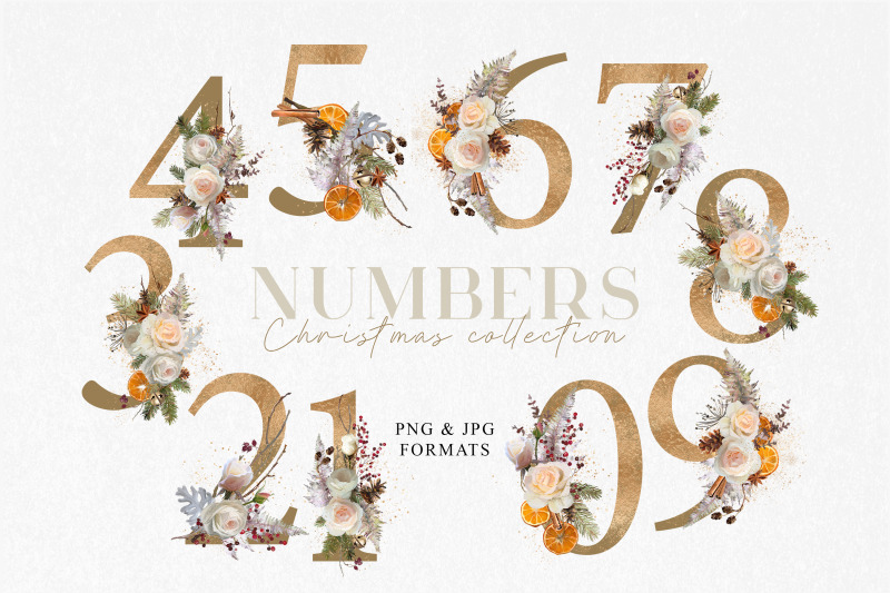 floral-individual-numbers-christmas-text-elements-png