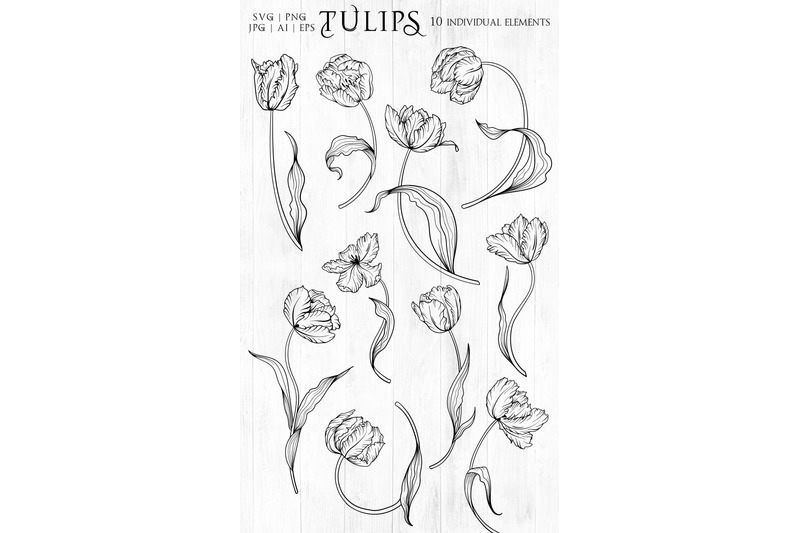 tulips-line-art-svg