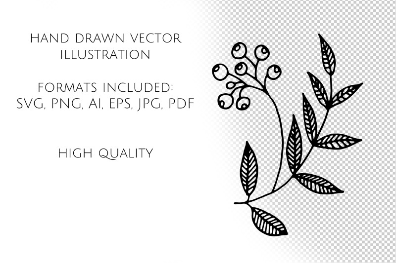 51-line-art-botanical-illustrations-svg