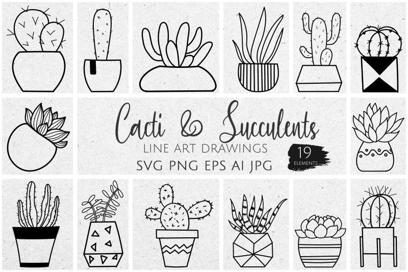 pooted-succulents-line-art-botanical-illustrations-svg