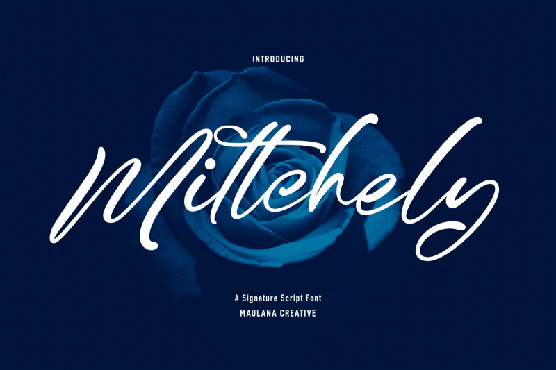 mittchely-script-font