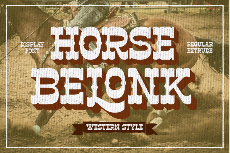 horse-belonk-western-style
