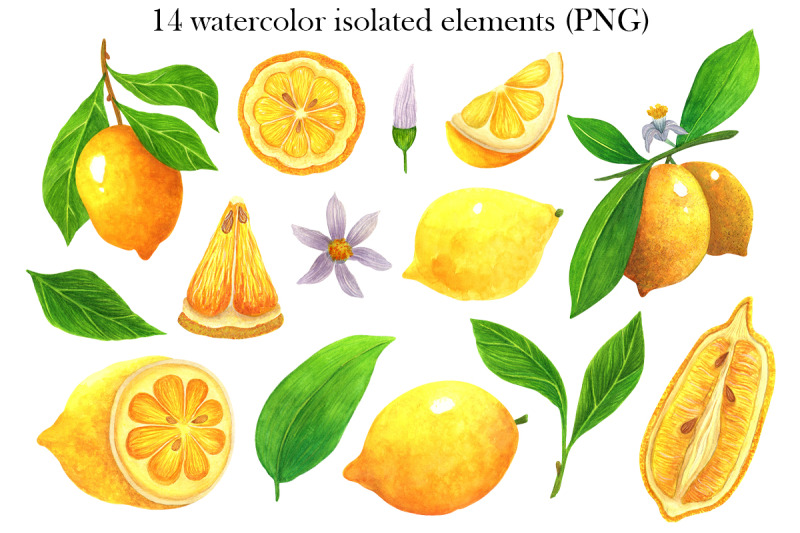 watercolor-lemon-clipart-summer-tropical-fruit-png