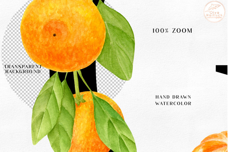 tangerine-alphabet-clipart-watercolor-citrus-fruit-letters-amp-numbers
