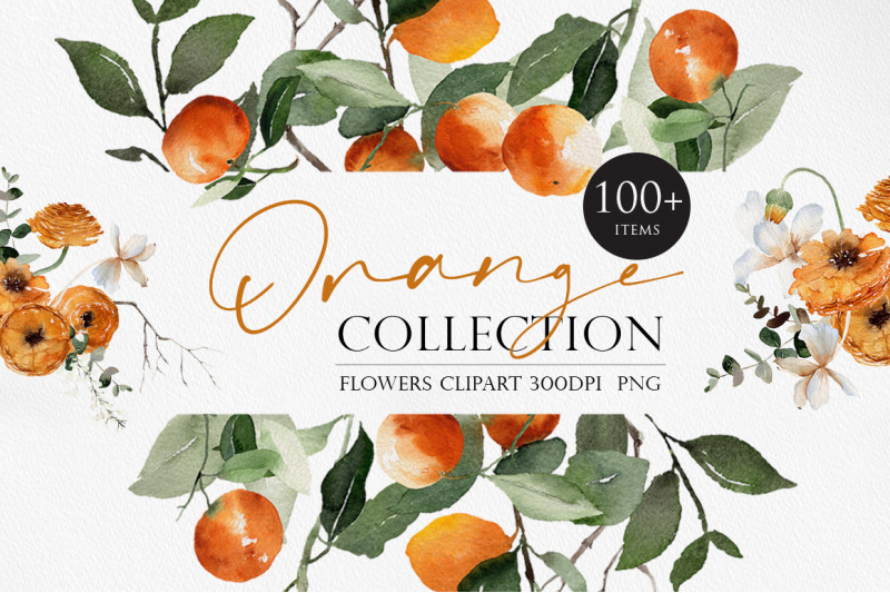 orange-collection