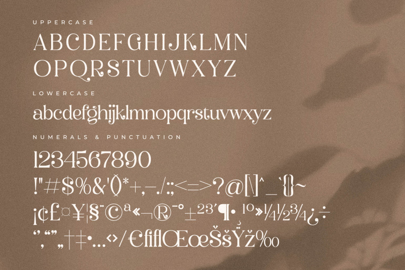 balerga-typeface