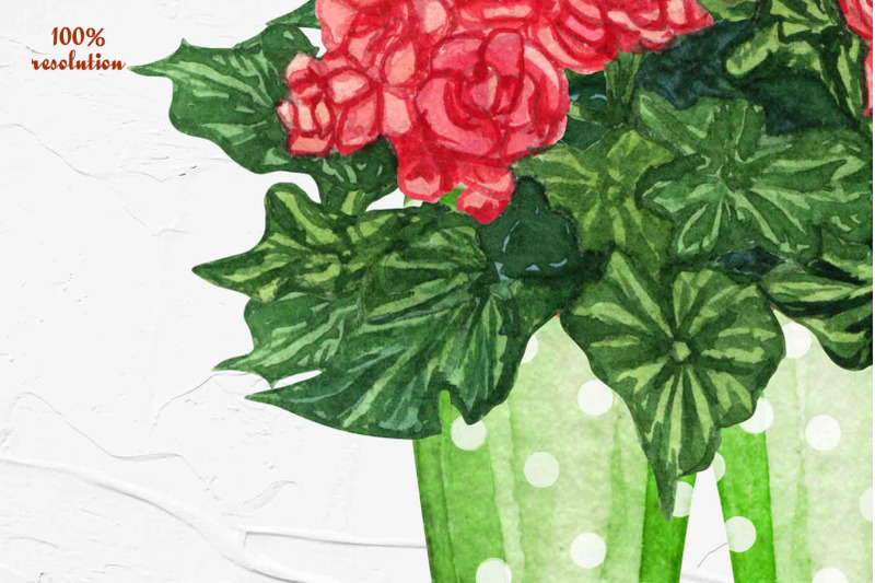 floral-wellies-watercolor-clipart