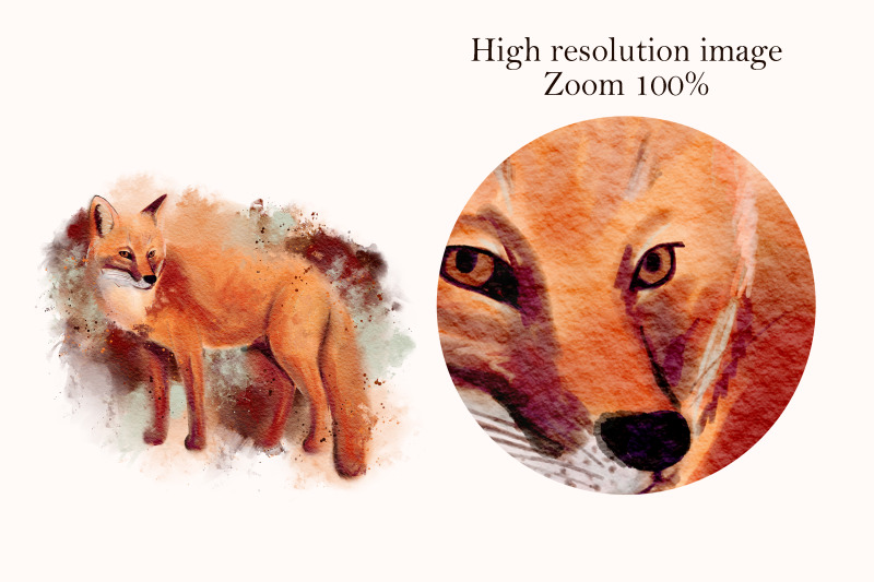 watercolor-fox-painting-animal-print-art-sublimation-png