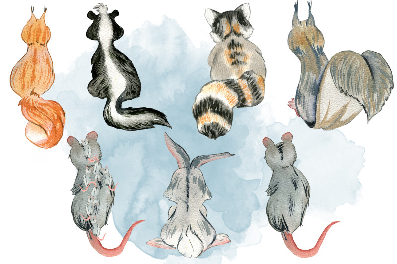 animal-watercolor-clipart-back-of-small-mammals