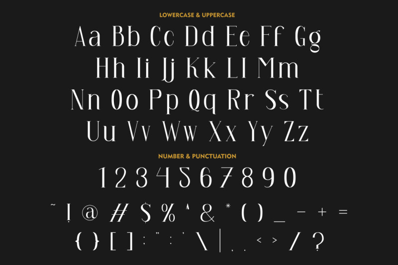 arash-serif-font
