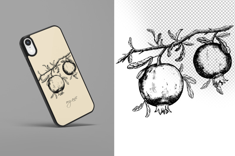 pomegranates-line-art-vector-drawing