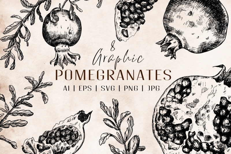 pomegranates-line-art-vector-drawing