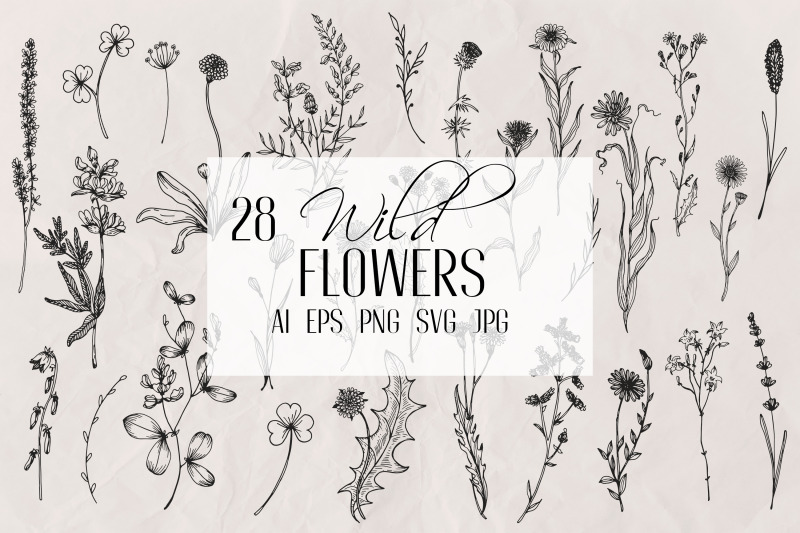 wildflowers-line-art-vector