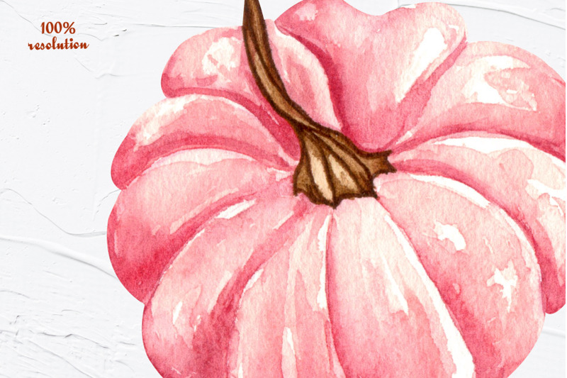 pink-pumpkins-watercolor-clipart