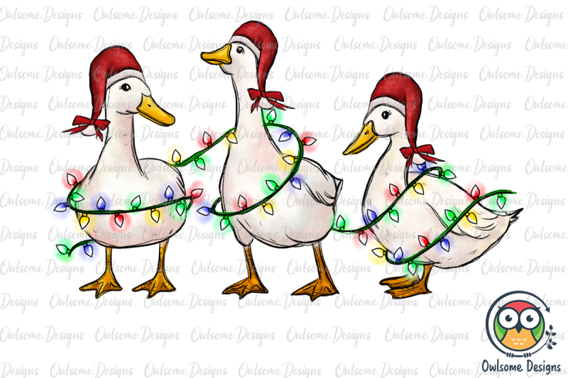 duck-christmas-png-sublimation