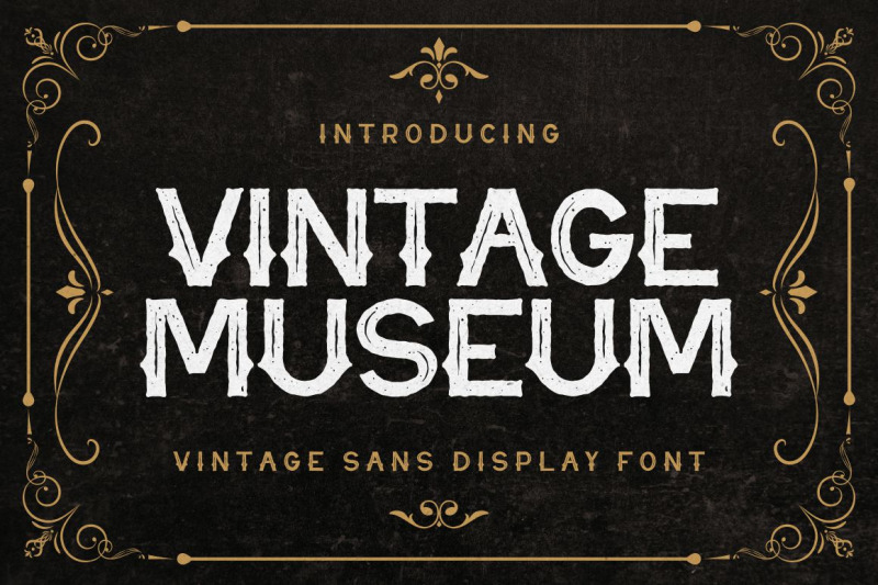 vintage-museum-vintage-sans-display-font