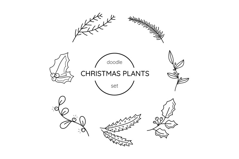 set-christmas-plantschristmas-plants-in-doodle-style-nbsp