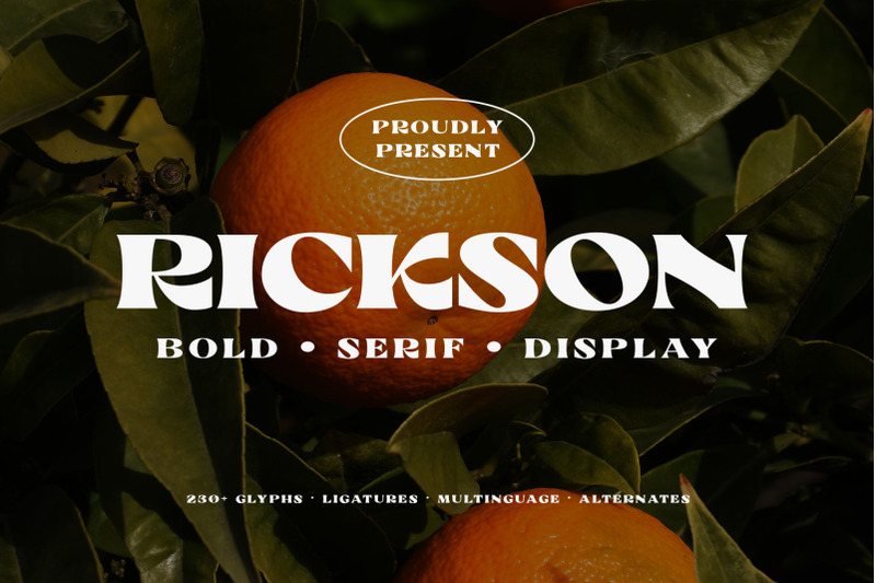 rickson-bold-serif
