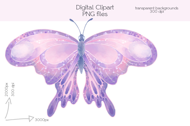 butterflies-clipart-png-files