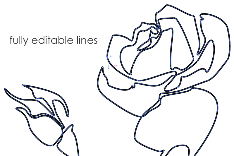 one-line-birth-flowers-drawing