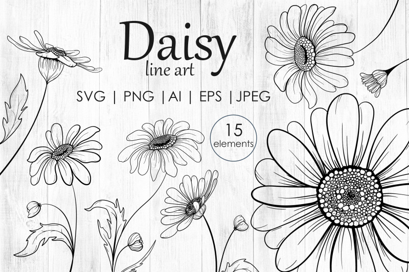 daisy-flowers-line-art-svg
