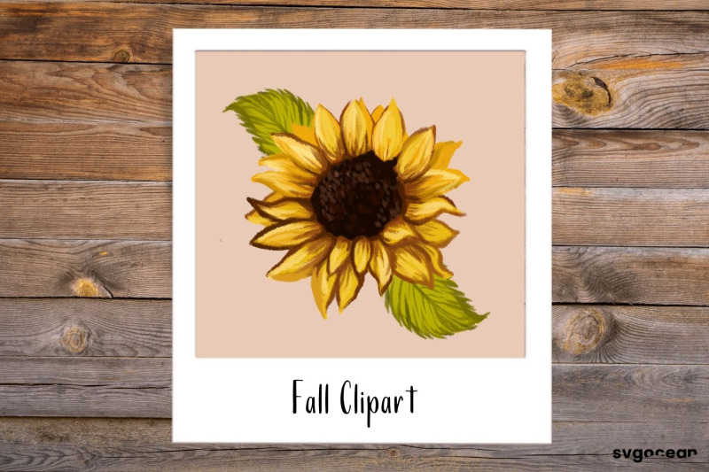 fall-sublimation-bundle-autumn-floral-clipart