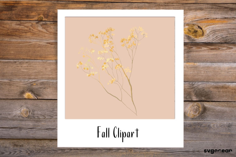 fall-sublimation-bundle-autumn-floral-clipart