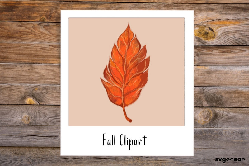 fall-sublimation-bundle-autumn-floral-clipart