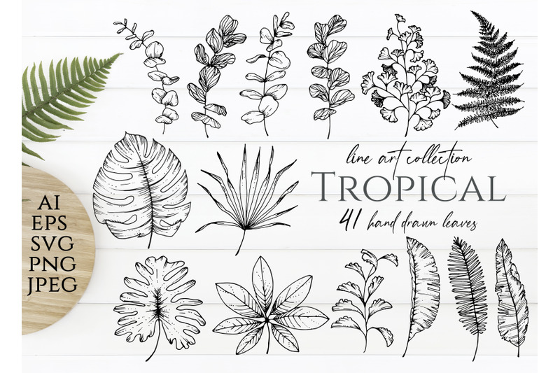 tropical-leaves-ink-illustration