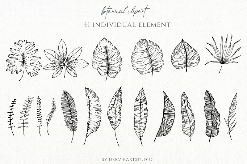 tropical-leaves-ink-illustration