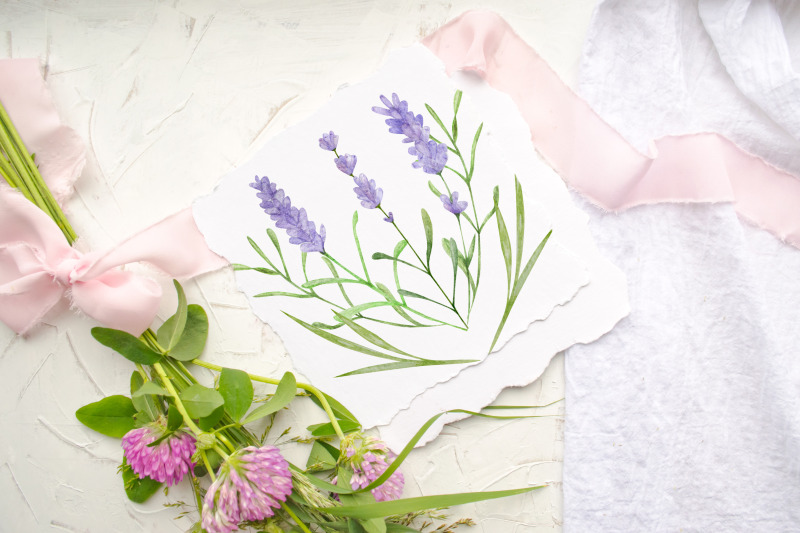 watercolor-lavender-hydrangea-flowers-set-clipar
