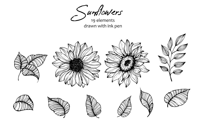 sunflowers-line-art-svg