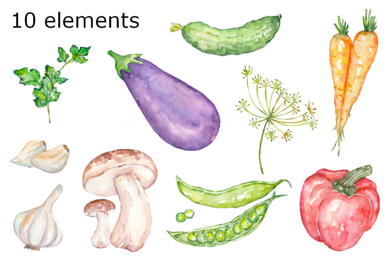 watercolor-vegetables-2-clipart