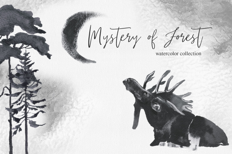 mystery-of-forest