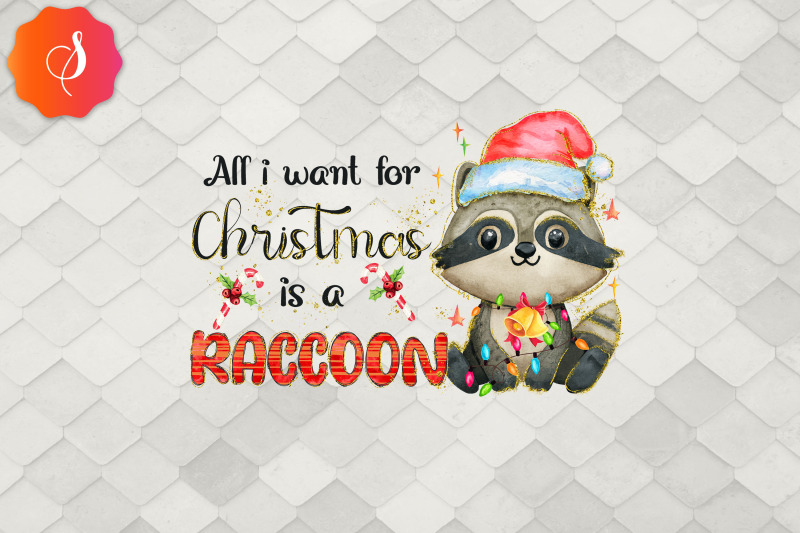 all-i-want-for-christmas-is-a-raccoon