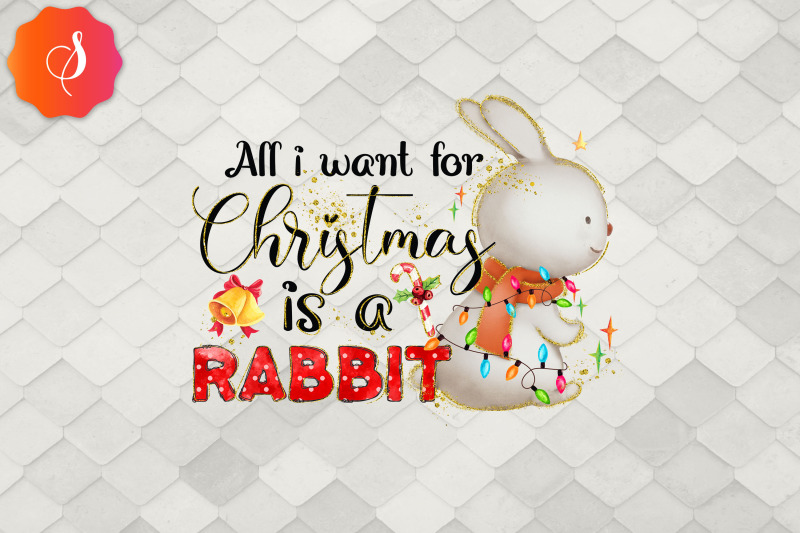 all-i-want-for-christmas-is-rabbit