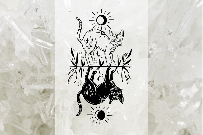 magic-cats-vector-illustrations-clipart