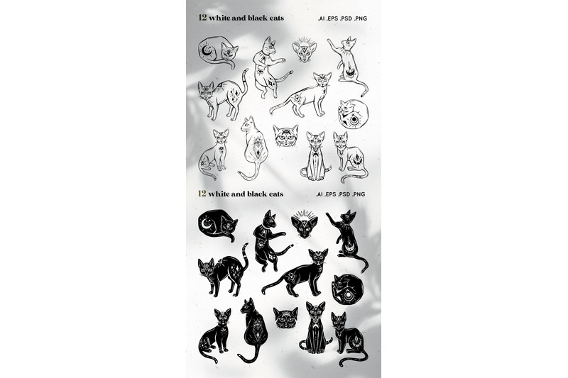 magic-cats-vector-illustrations-clipart