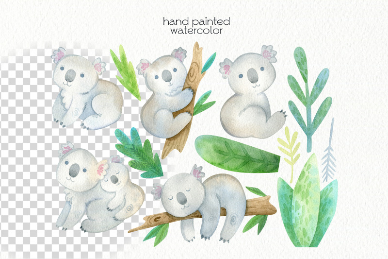 watercolor-koala-clipart-png-files