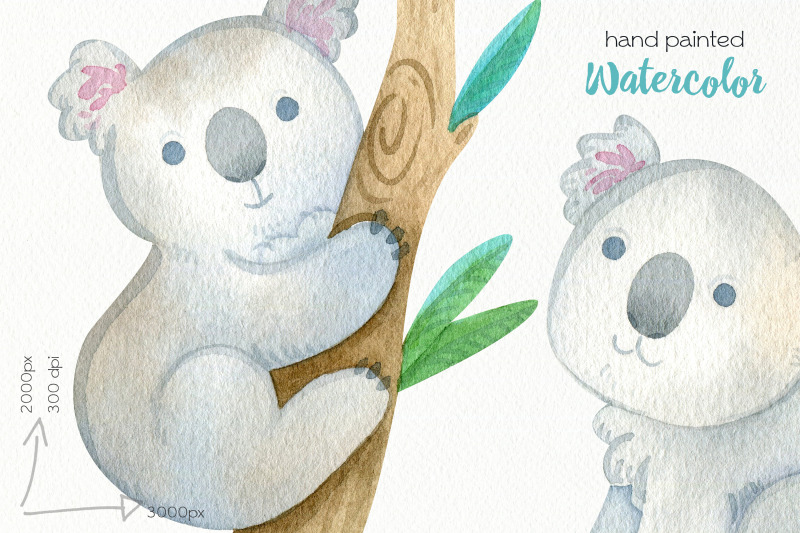 watercolor-koala-clipart-png-files