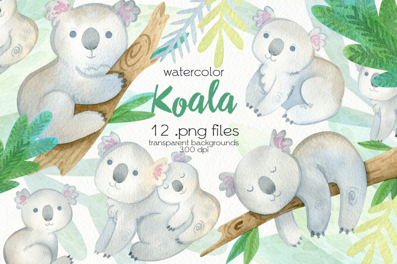 watercolor-koala-clipart-png-files