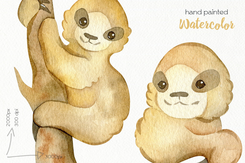 watercolor-sloth-clipart-png-files