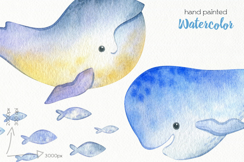 watercolor-whales-clipart-png-files