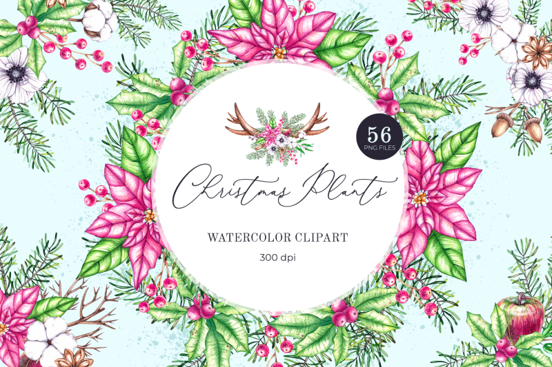 watercolor-clipart-christmas-plants-png