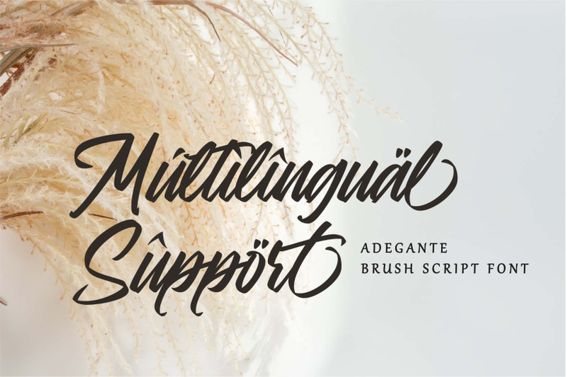 adegante-script-font