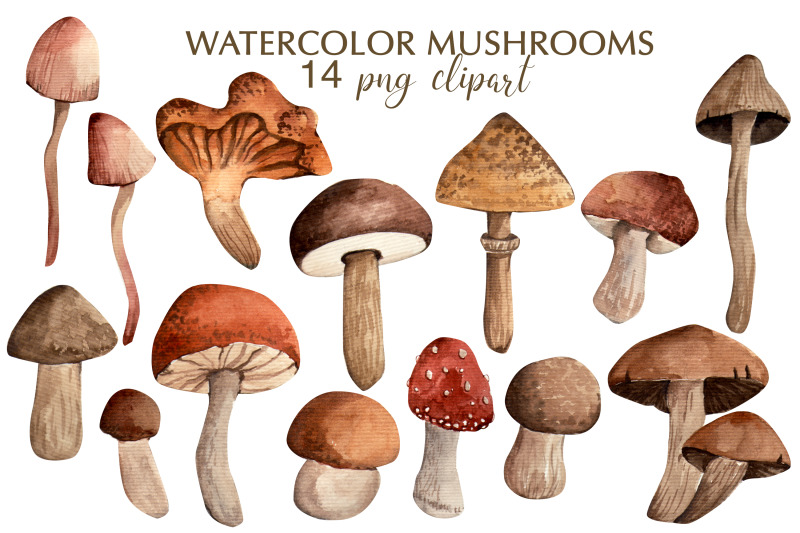 watercolor-clipart-autumn-mushrooms-watercolor-illustration