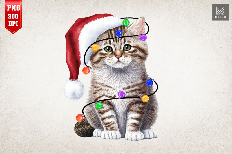 cute-cat-kitten-in-santa-hat-christmas